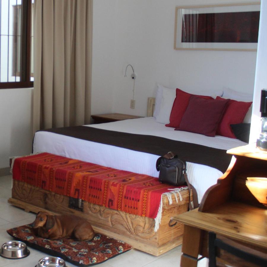 La Cochinilla Hotel Boutique Oaxaca المظهر الخارجي الصورة