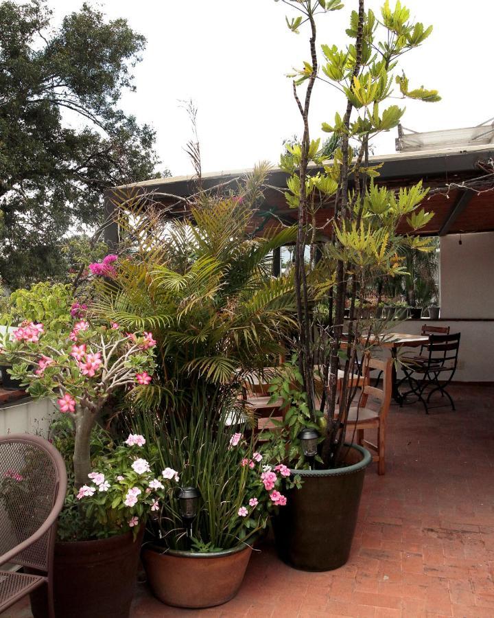 La Cochinilla Hotel Boutique Oaxaca المظهر الخارجي الصورة